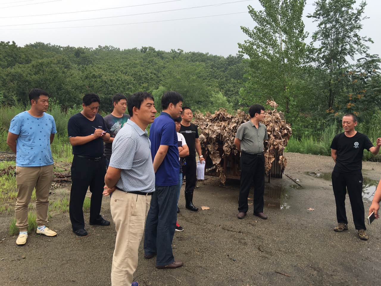 ǷɰȷʮţĿĲݣռǷɰжʵ